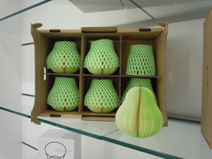 DSCN1039.JPG