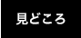 見どころ